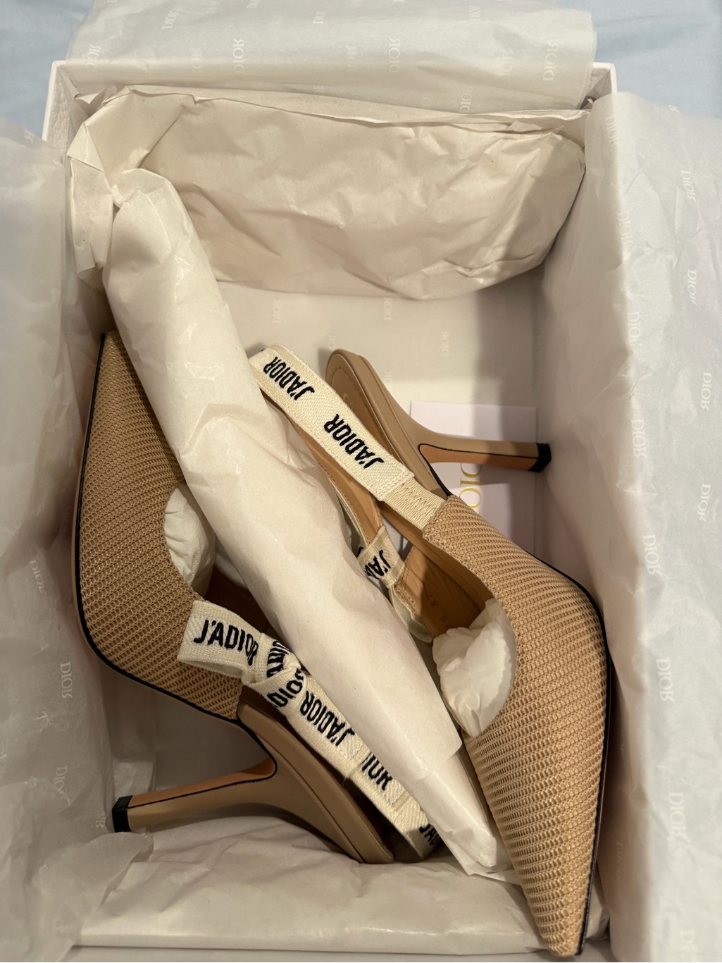 Dior Nude J'adior Slingback Pumps